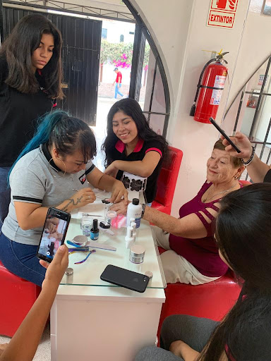 INSTITUTO PROFESIONAL SANTA ROSA DEL SUR