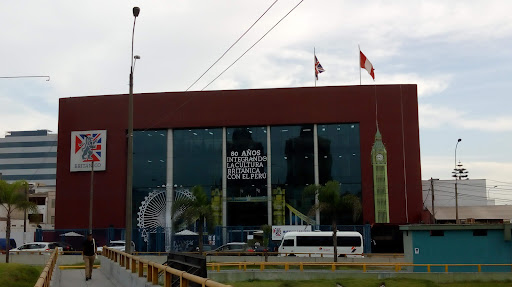 Británico