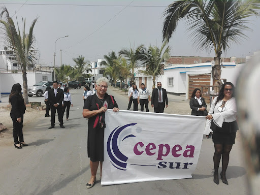 instituto cepea