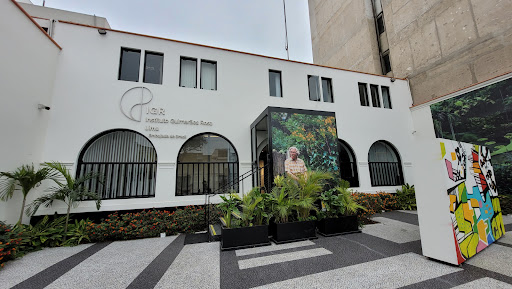 Instituto Guimarães Rosa - Lima / Centro Cultural Brasil-Perú