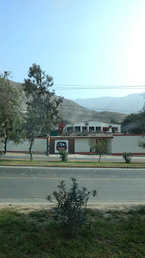 Lima International School of Tomorrow