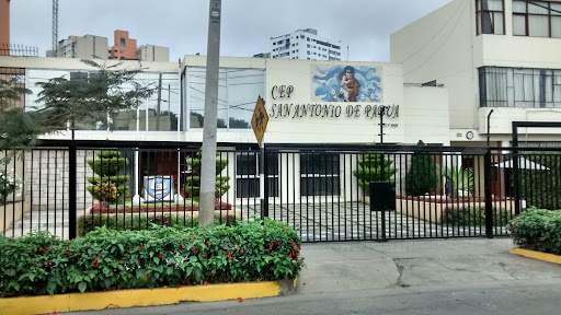 Colegio San Antonio De Padua