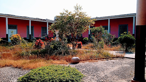Institución Educativa Instituto Sevilla