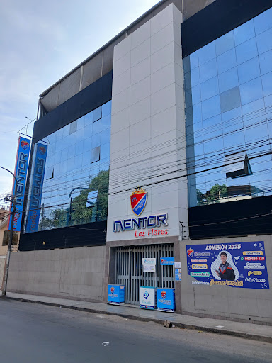 Colegio Mentor Las Flores