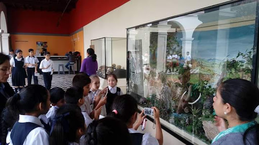 I.E.P. Isaac Newton San Luis