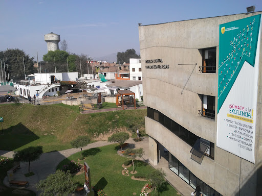 Universidad Peruana Cayetano Heredia (UPCH)