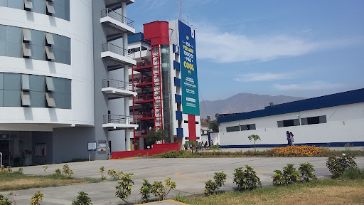 Universidad César Vallejo