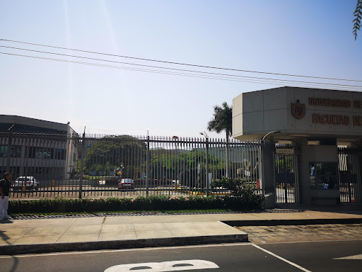 Universidad de San Martín de Porres (USMP)