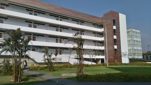 Universidad de San Martín de Porres