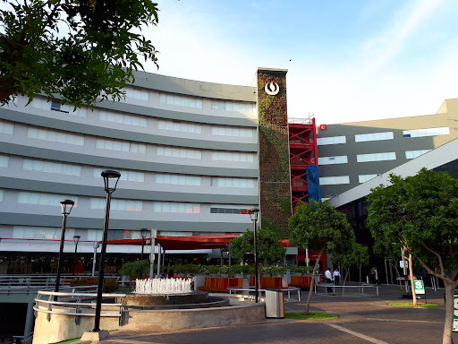 UPC - Campus San Miguel