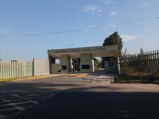 Puerta 5 UNALM