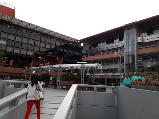 Universidad del Pacífico