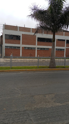 Universidad Peruana del Norte