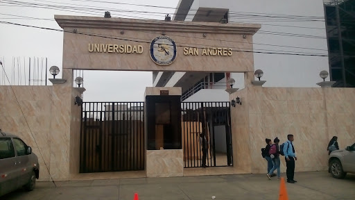 Universidad San Andres