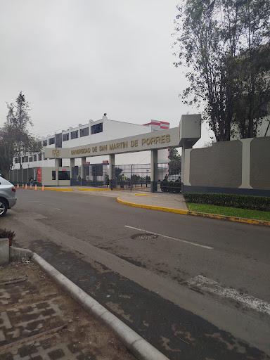 universidad San Matin-santa Anita
