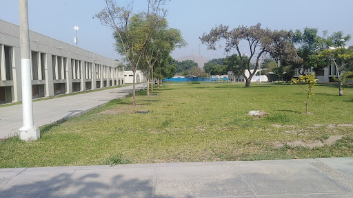 Puerta Principal e Ingreso Vehicular UNALM