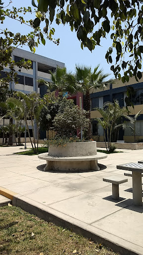 Facultad de Ciencias Naturales Y Matemática UNFV