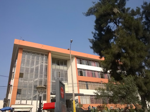 Universidad Nacional Mayor de San Marcos