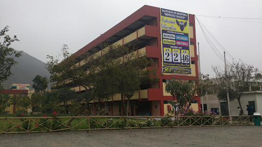 Universidad Nacional Federico Villarreal