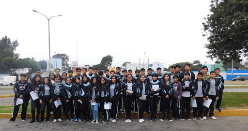 Academia Cygnus Puente Piedra