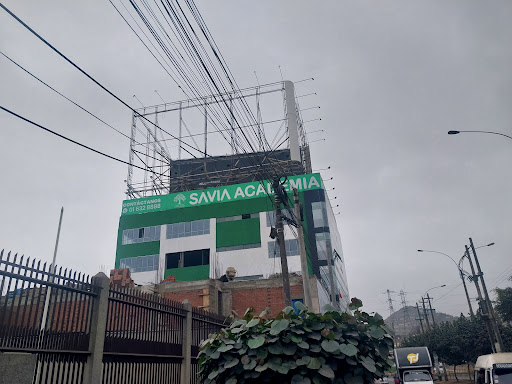 SAVIA Academia Preuniversitaria