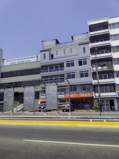 Instituto de Educación Superior Ricardo Palma