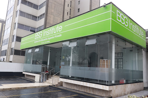 BSG Institute