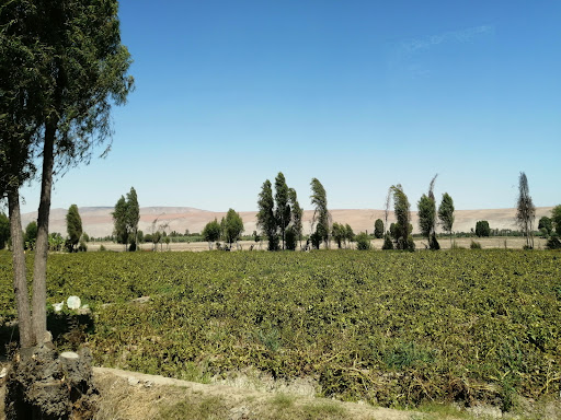 Instituto Superior del Valle De Tambo