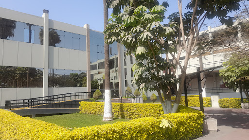 Universidad de San Martín de Porres