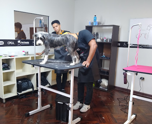Pet Estetic Escuela de Groomers