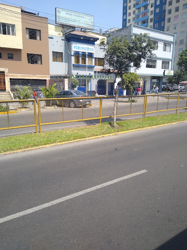 Instituto Perú Pacífico