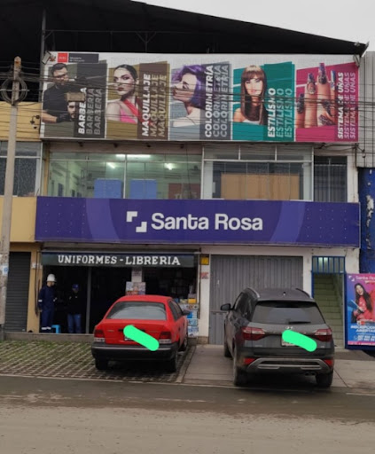 𝐈𝐧𝐬𝐭𝐢𝐭𝐮𝐭𝐨 𝐏𝐫𝐨𝐟𝐞𝐬𝐢𝐨𝐧𝐚𝐥 𝐒𝐚𝐧𝐭𝐚 𝐑𝐨𝐬𝐚 𝐕𝐄𝐒