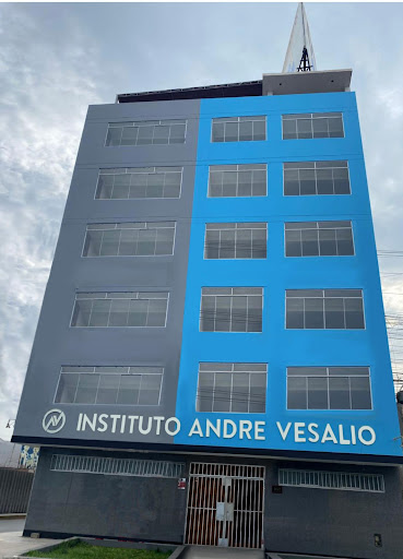 Instituto De Educación Superior Tecnológico Privado Andre Vesalio